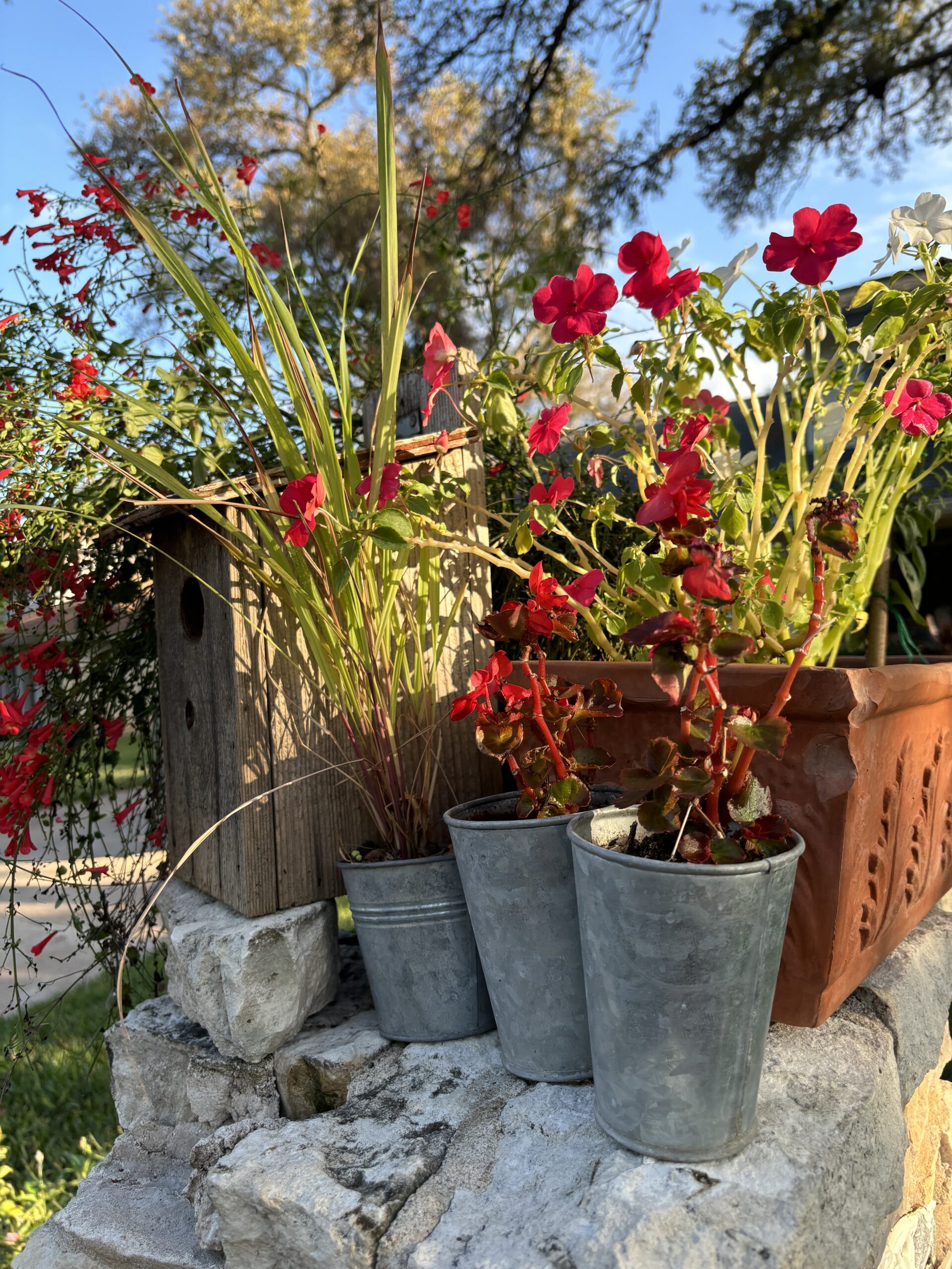 Blooming red flowers in metal tin flower pots siting atop a stone mailbox captured in the hills of Northwest Austin on Nature Walk on the Fuck Fear podcast with Catenya McHenry.